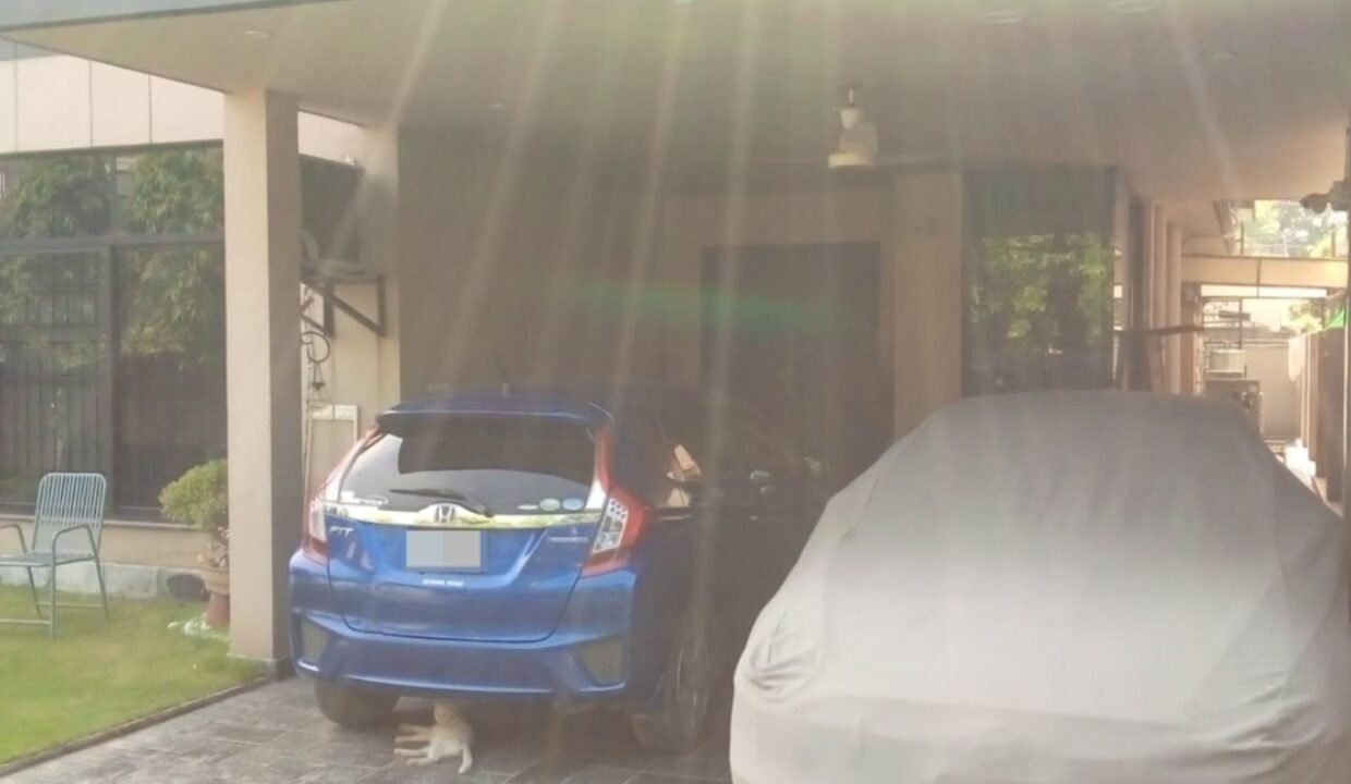 WhatsApp Image 2025-12-02 at 18.13.37