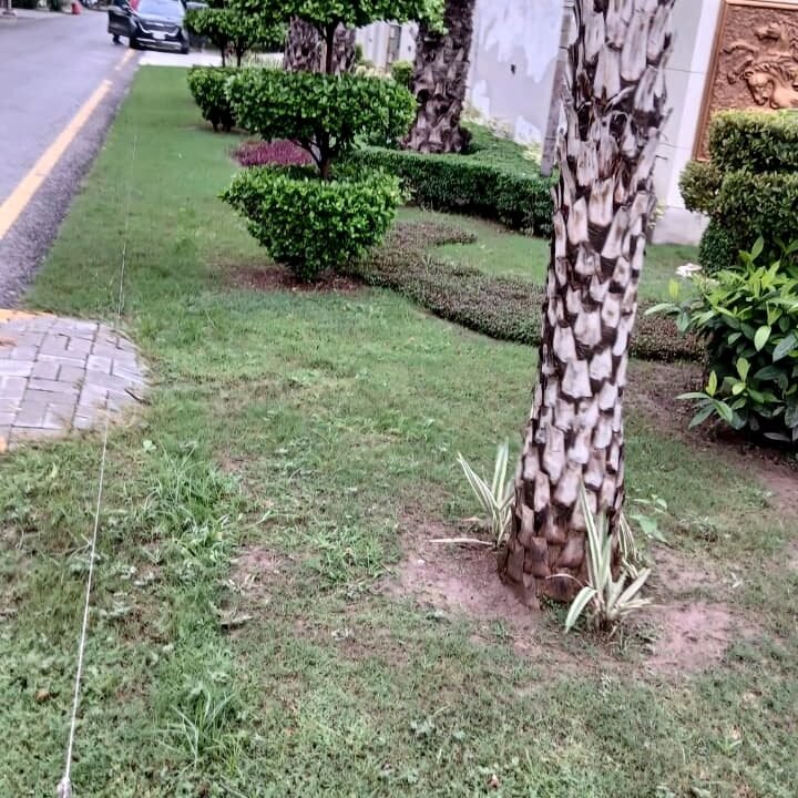 3 (19)